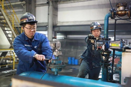 郭屯煤礦多措并舉提升煤質含金量，選煤設備助力增效